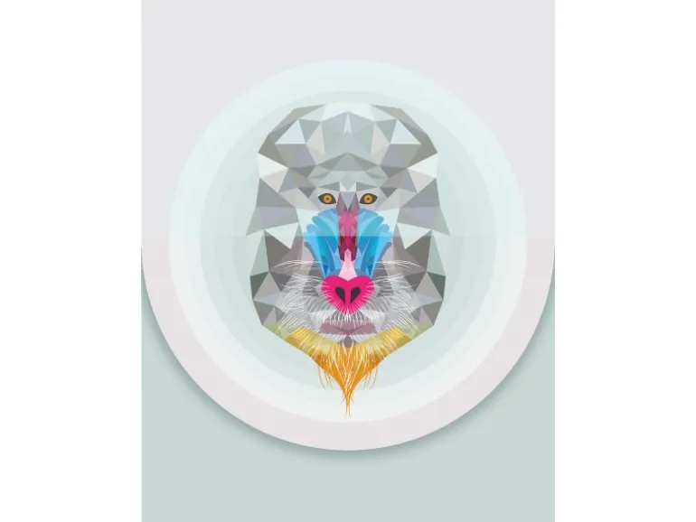 Komar Wandbild Baboon 30 x 40 cm