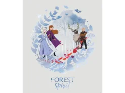 Komar Wandbild Frozen Spirit 40 x 50 cm