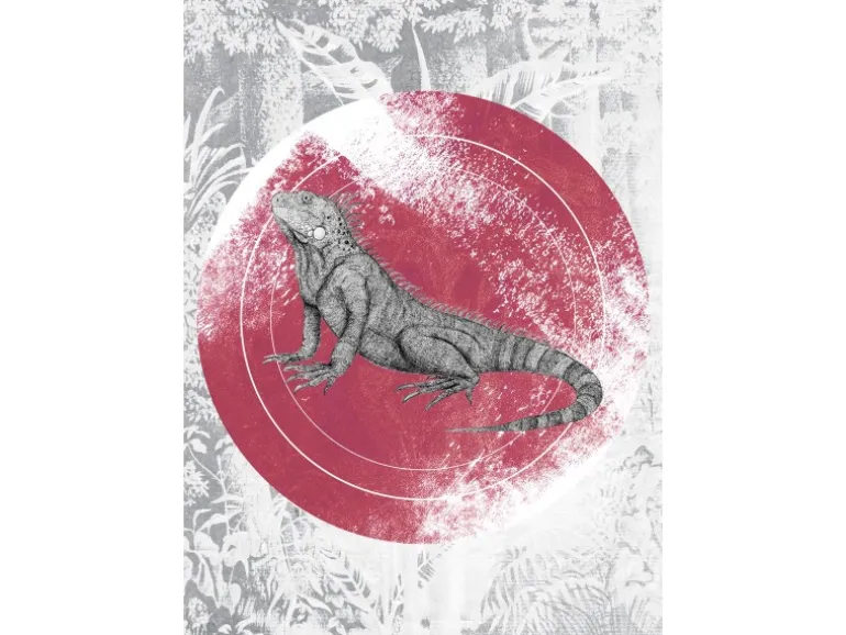 Komar Wandbild Iguana Circle 50 x 70 cm