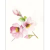 Komar Wandbild Magnolia Breathe 40 x 50 cm