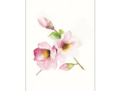 Komar Wandbild Magnolia Breathe 40 x 50 cm