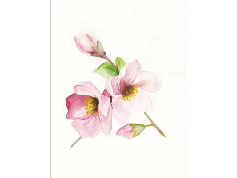 Komar Wandbild Magnolia Breathe 40 x 50 cm
