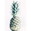 Komar Wandbild Pineapple 50 x 70 cm