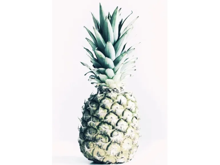 Komar Wandbild Pineapple 50 x 70 cm