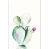 Komar Wandbild Prickly Pear 50 x 70 cm