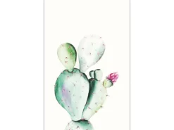 Komar Wandbild Prickly Pear 50 x 70 cm