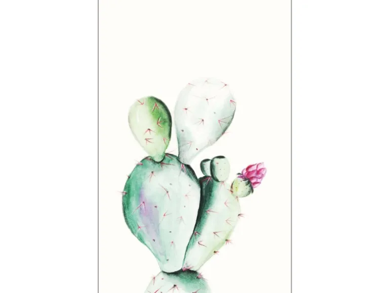 Komar Wandbild Prickly Pear 50 x 70 cm