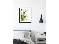 Komar Wandbild Reed Leaves 40 x 50 cm