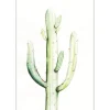 Komar Wandbild Saguaro Watercolor 30 x 40 cm