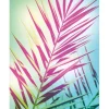 Komar Wandbild Shine 40 x 50 cm