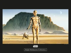 Komar Wandbild Star Wars Droids 40 x 30 cm