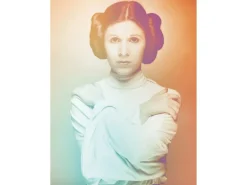 Komar Wandbild Star Wars Leia 40 x 50 cm