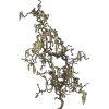 Korkenzieherhasel "Contorta" Zweige Länge ca. 100 cm