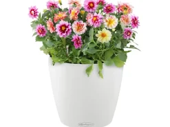 Lechuza® Pflanzgefäß Classico Color 18 Weiß Ø 18 cm