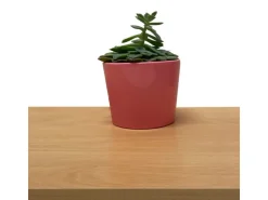 Möbelbauplatte Buche Holznachbildung 260 cm x 20 cm x 1,9 cm
