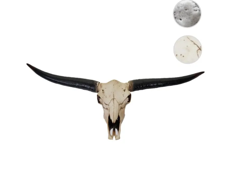 MCW Deko Schädel 132cm A14 Stier Naturfarben