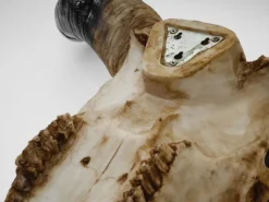 MCW Deko Schädel 45cm T454 Stier Naturfarben