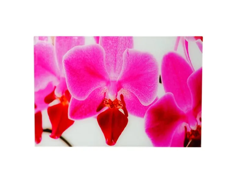 MCW Glasbild T117 40x60cm Orchidee