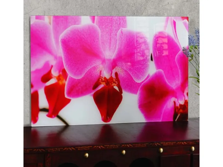 MCW Glasbild T117 40x60cm Orchidee