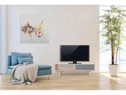MeGusta FernsehTisch Grau Rechteckig (BxHxT) 120x45x60 cm TV Tisch Arturo