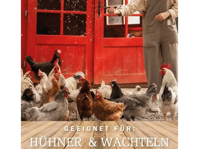 MeineHennen KÖRNER VITAL EXZELLENT 30 Kg PREMIUM Hühnerfutter Wachtelfutter mit Muschelschalen Buchweizen und Hirse