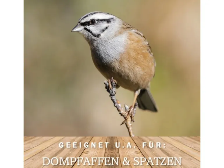 MeinWildvogel WILDVOGEL VITAL 15 kg Vogelfutter Ganzjahresfutter für Wildvögel und Gartenvögel Wildvogelfutter OHNE GENTECHNIK
