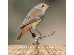 MeinWildvogel WILDVOGEL VITAL 15 kg Vogelfutter Ganzjahresfutter für Wildvögel und Gartenvögel Wildvogelfutter OHNE GENTECHNIK