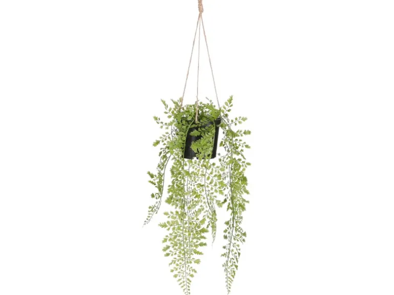 Mica Decorations Kunstpflanze Adiantum Hängend in Topf 47 cm x 20 cm Grün