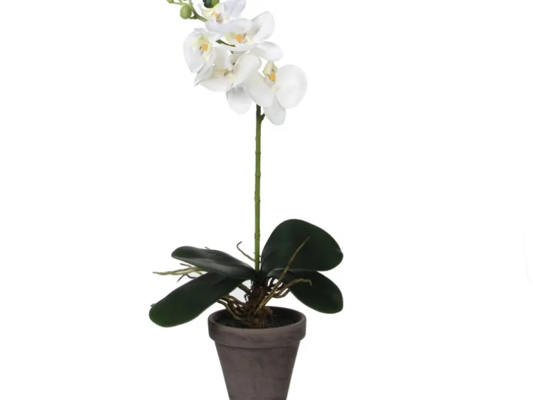 Mica Decorations Kunstpflanze Phalaenopsis im Topf Ø 13 cm x 48 cm Weiß