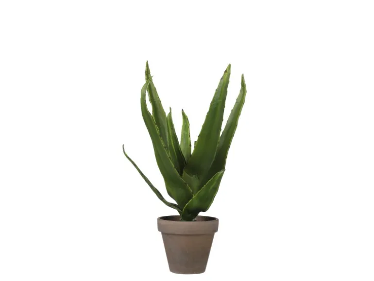 Mica Decorations Kunstpflanze Aloe Vera im Blumentopf Stan Ø 16 cm x 30 cm Grün