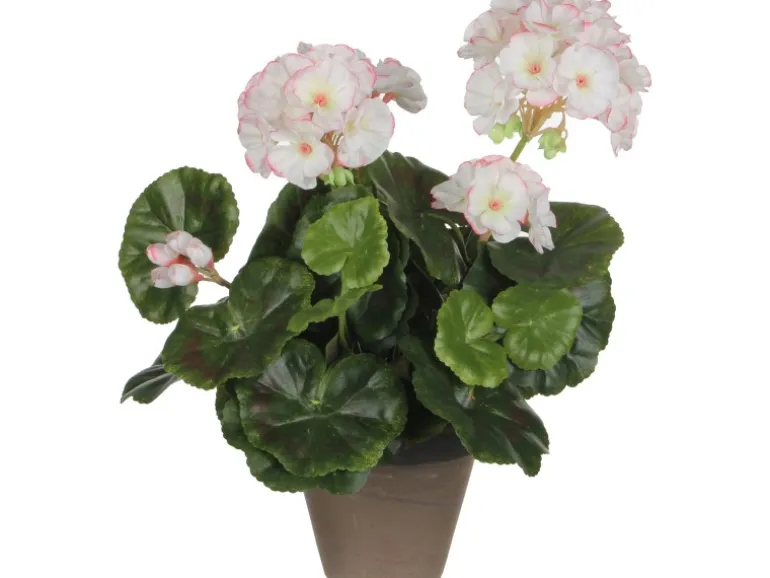 Mica Decorations Kunstpflanze Geranie im Blumentopf Stan Ø 20 x 34 cm Weiß-Rosa