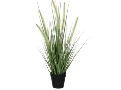 Mica Decorations Kunstpflanze Gras Dogtail im Topf Ø 30 cm x 53 cm Grün