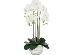 Mica Decorations Kunstpflanze Phalaenopsis In Topf 40 cm x 34 cm x 82 cm Weiß