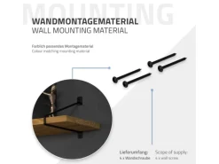 ML-Design 4 Stück Regalhalterung 265 mm Schwarz aus Stahl Haarnadel Schwebe