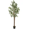 ML-Design Künstliche Eukalyptus 210cm Groß Kunstpflanze Naturholzstamm