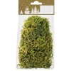 Moos Grün 30 g