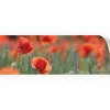 Myspotti Küchenrückwandfolie Mohn Selbstklebend 220 cm x 60 cm