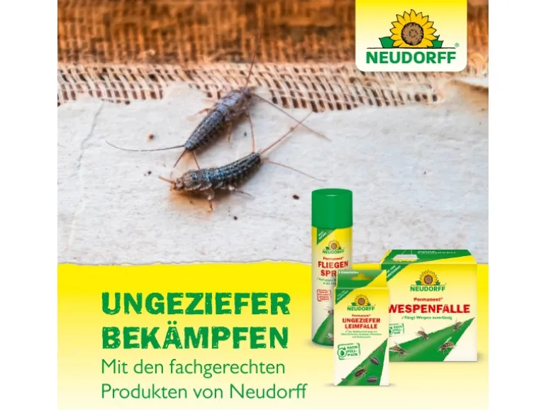 Neudorff Permanent FliegenFänger 4 Stk.
