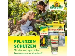 Neudorff Raupen- und Ameisen-Leimring 5 m