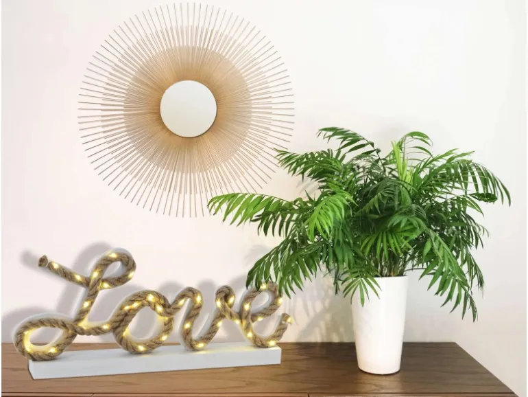 Näve LED-Deko-Tischleuchte Love Natur 20 cm x 45 cm x 5 cm