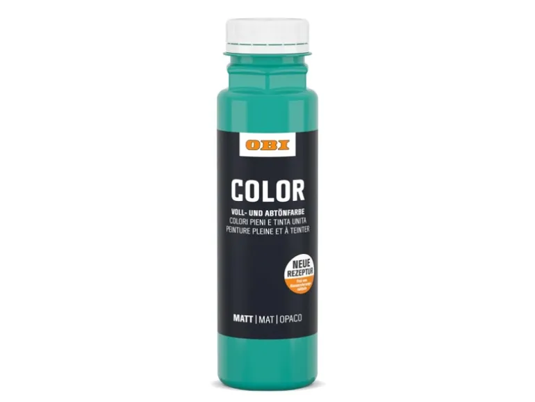 OBI Color Voll- und Abtönfarbe 250 ml Mint