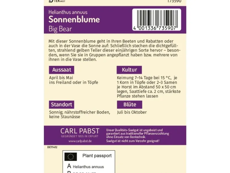 Pabst Keimkraft Sonnenblume Big Bear Saatgut
