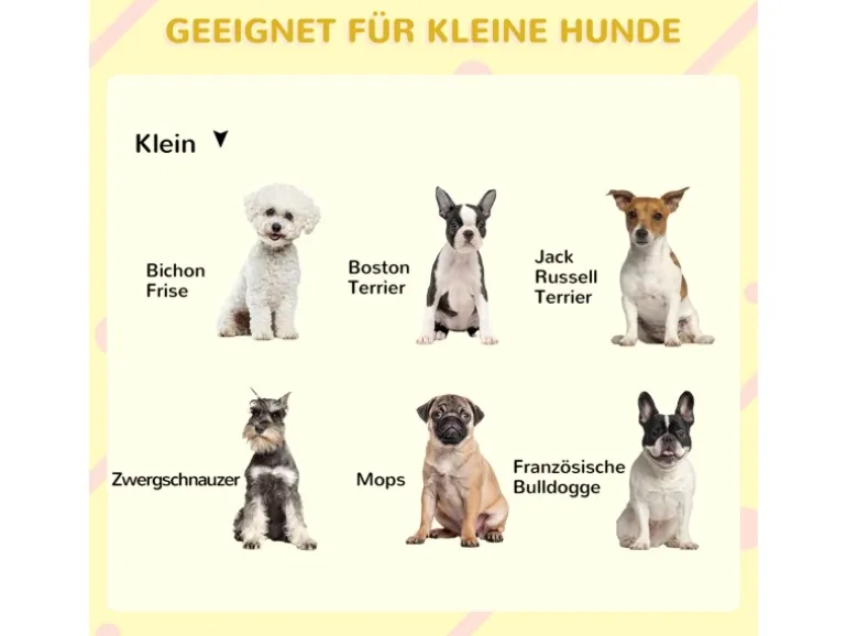 PawHut Hundehütte mit Terrasse
