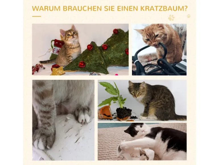 PawHut Kletterbaum Treppe 5 Ebenen 48,5 x 48,5 x 100 cm