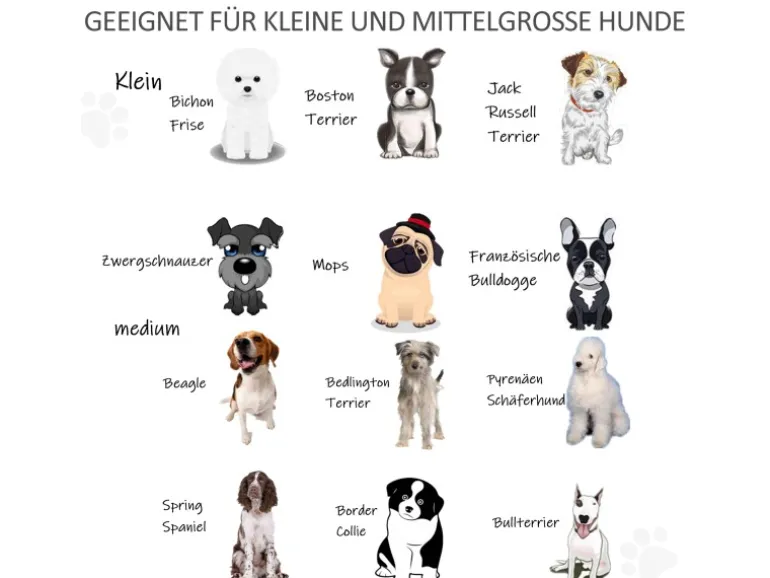 PawHut Türschutzgitter mit Fußstütze 432 x 36 x 70cm
