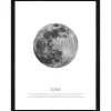 Pro Art Bild Framed Art Blue moon 40 cm x 30 cm