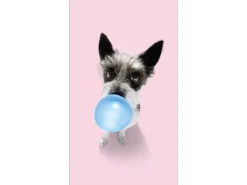 Pro Art Dekopanel Hund Chewing Gum 30 cm x 15 cm