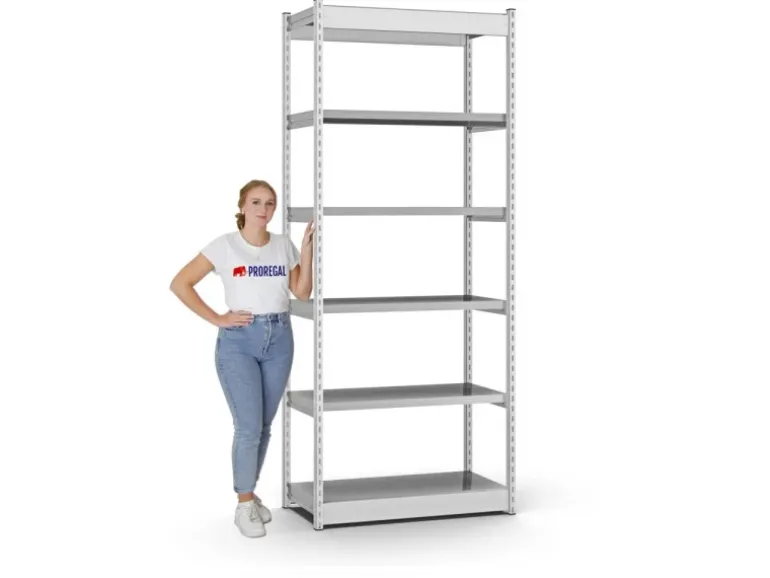 PROREGAL Fachbodenregal Stecksystem Vierkant-Profil Grundregal HxBxT 250 x 132,5 x 60 cm 6 Ebenen Einseitige Bauart Fachlast 200 kg Lichtgrau
