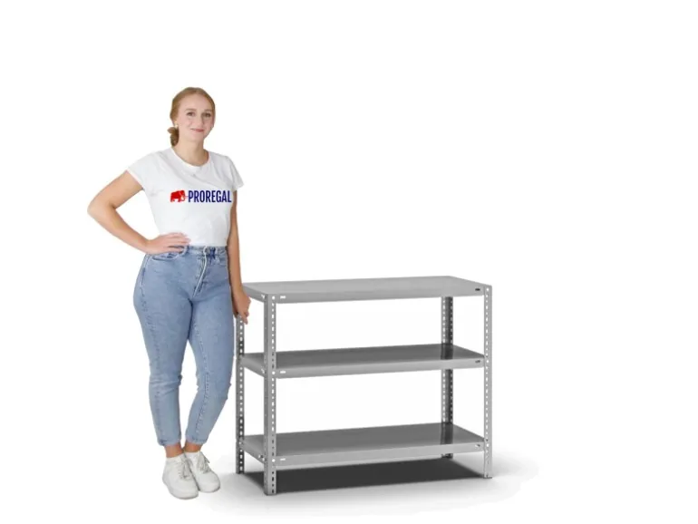 PROREGAL Fachbodenregal Schraubsystem Light-Duty Grundregal HxBxT 80 x 100 x 40 cm 3 Ebenen Fachlast 125 kg Beidseitig Nutzbar Verzinkt