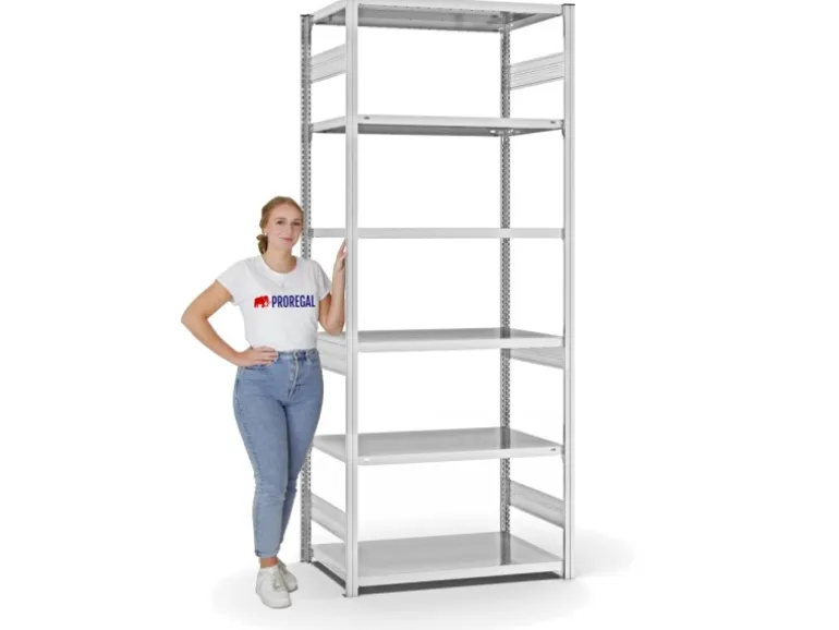 PROREGAL Fachbodenregal Stecksystem T-Profil Heavy-Duty Grundregal HxBxT 250 x 100 x 60 cm 6 Ebenen Fachlast 330 kg Beidseitig Nutzbar Lichtgrau